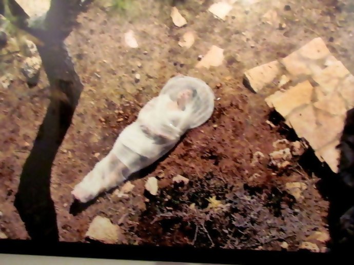 b_Jana Boulus IMG_9332-b