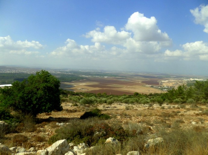 SAMSUNG CAMERA PICTURES