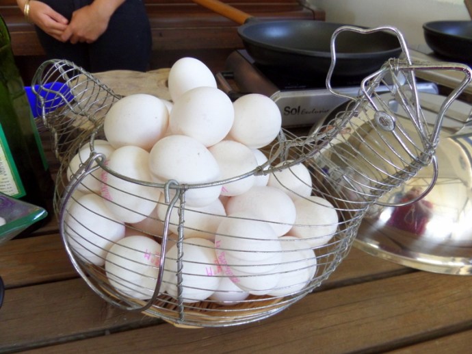 SAMSUNG CAMERA PICTURES