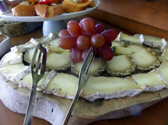 SAMSUNG CAMERA PICTURES