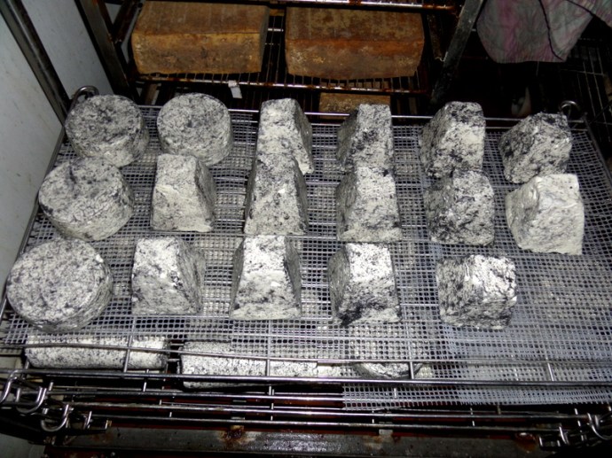 SAMSUNG CAMERA PICTURES