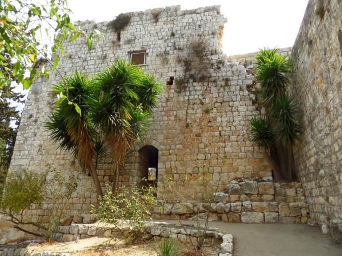 SAMSUNG CAMERA PICTURES