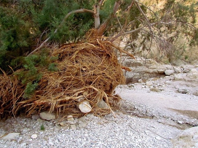 67e77-bokek_img_5114