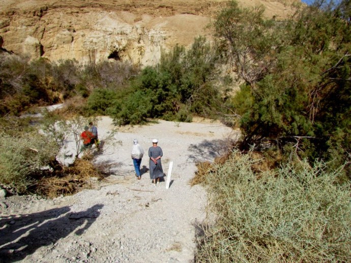 c1343-bokek_img_5104