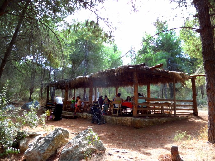 SAMSUNG CAMERA PICTURES