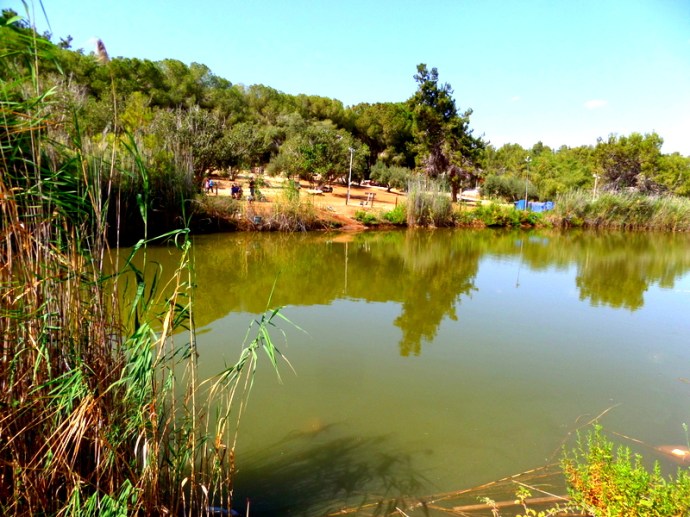 SAMSUNG CAMERA PICTURES