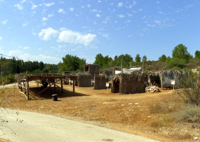 SAMSUNG CAMERA PICTURES