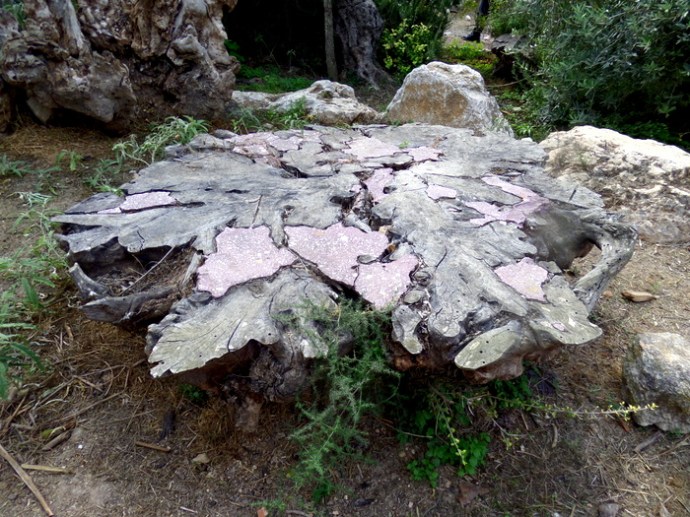 SAMSUNG CAMERA PICTURES