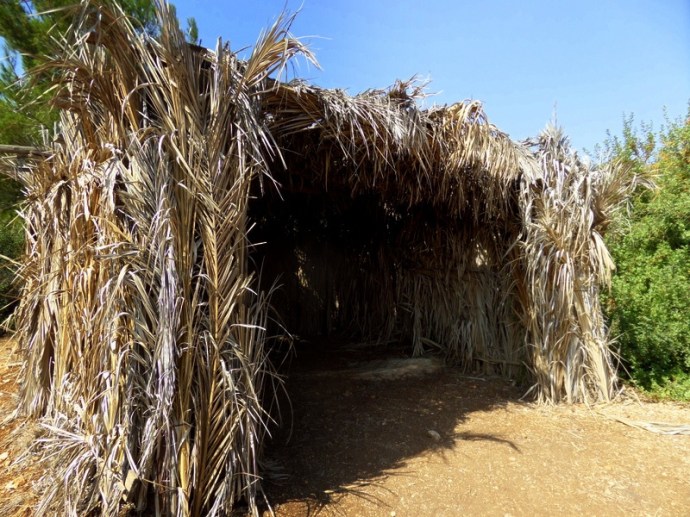 SAMSUNG CAMERA PICTURES