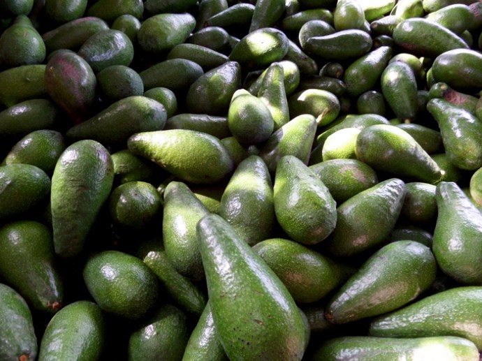 SAMSUNG CAMERA PICTURES