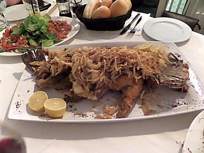 SAMSUNG CAMERA PICTURES