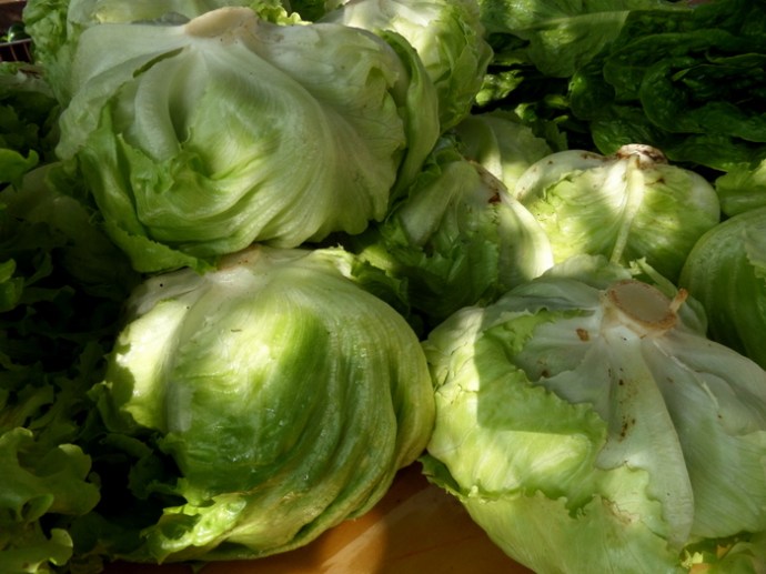 SAMSUNG CAMERA PICTURES