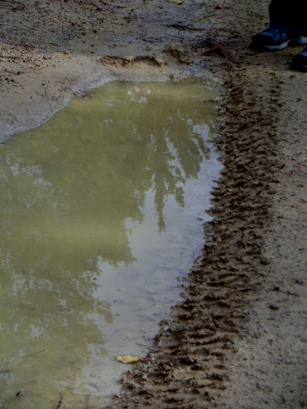 SAMSUNG CAMERA PICTURES