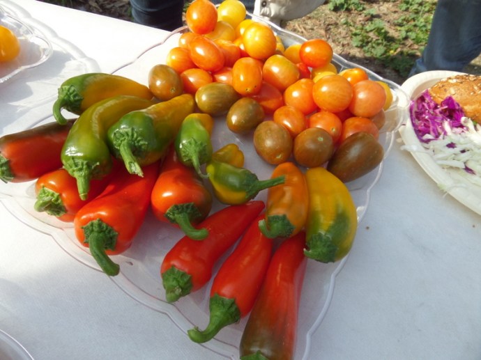 SAMSUNG CAMERA PICTURES