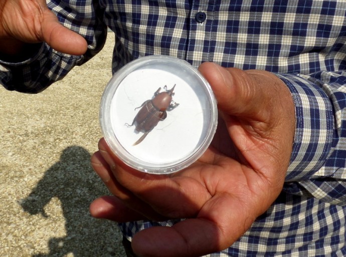 SAMSUNG CAMERA PICTURES