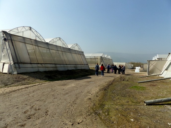 SAMSUNG CAMERA PICTURES