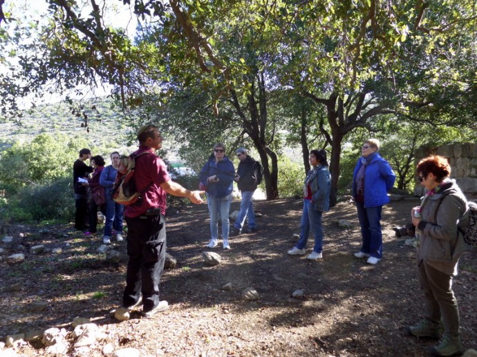 SAMSUNG CAMERA PICTURES