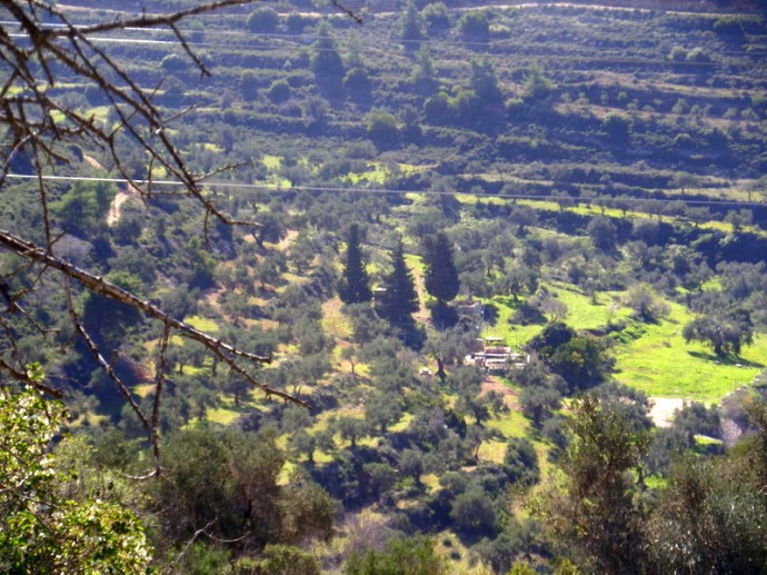 SAMSUNG CAMERA PICTURES