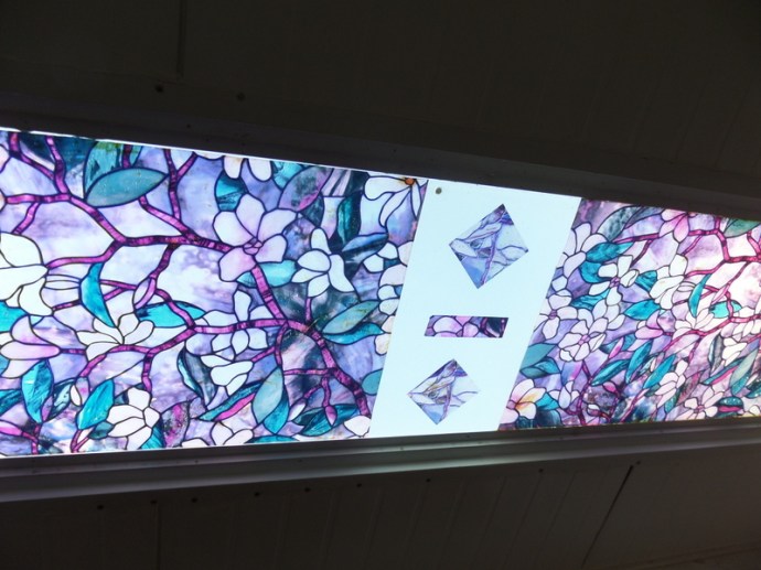 SAMSUNG CAMERA PICTURES