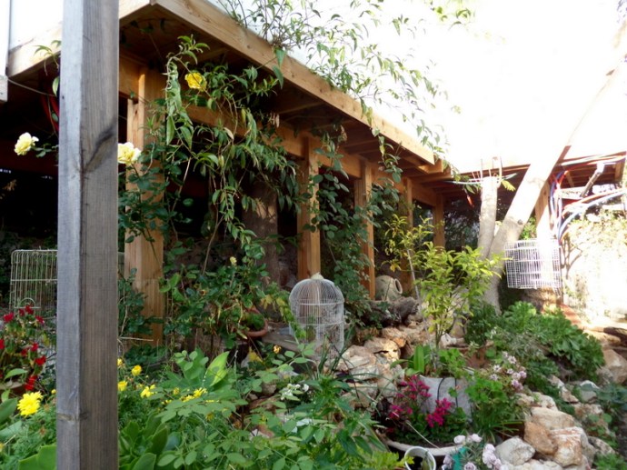 SAMSUNG CAMERA PICTURES