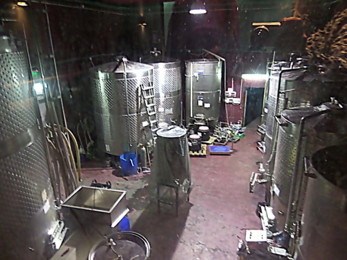 SAMSUNG CAMERA PICTURES