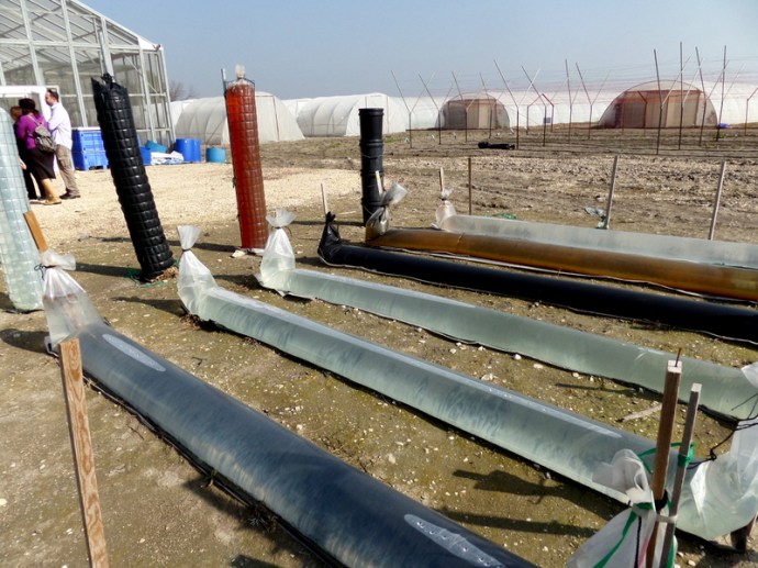 SAMSUNG CAMERA PICTURES