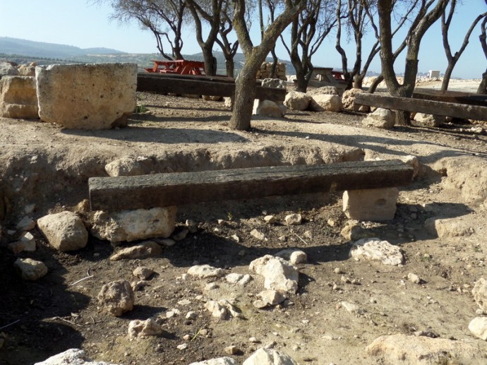 SAMSUNG CAMERA PICTURES