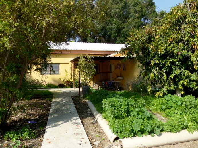 SAMSUNG CAMERA PICTURES