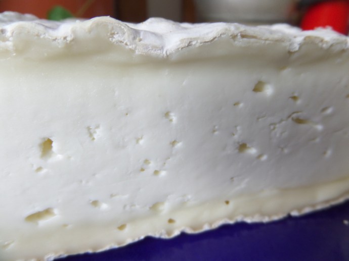 SAMSUNG CAMERA PICTURES