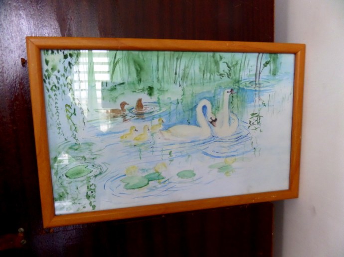 SAMSUNG CAMERA PICTURES