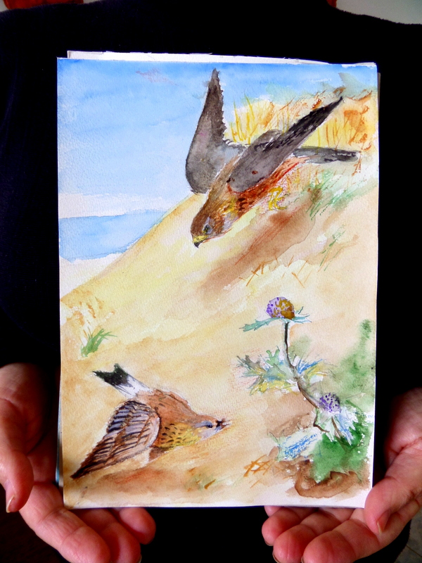 SAMSUNG CAMERA PICTURES