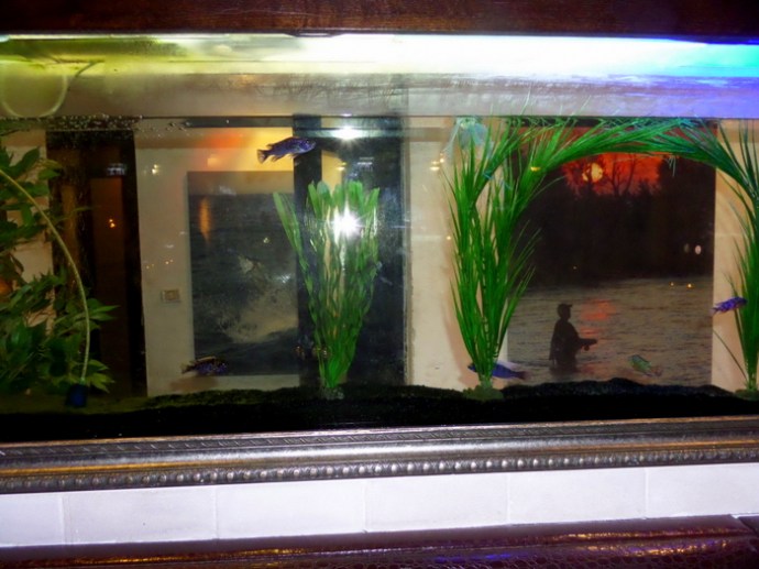 SAMSUNG CAMERA PICTURES