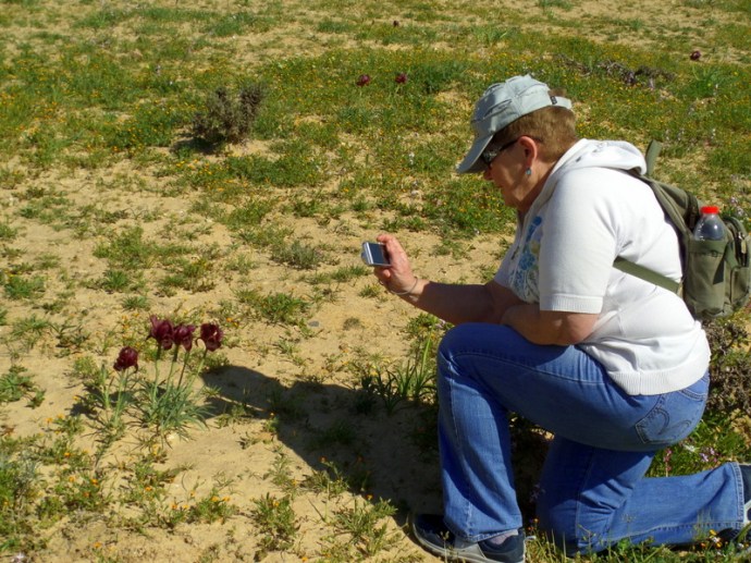 SAMSUNG CAMERA PICTURES