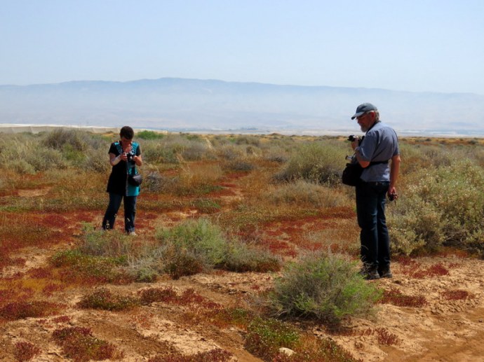 Emilia_Balandin_IMG_3293