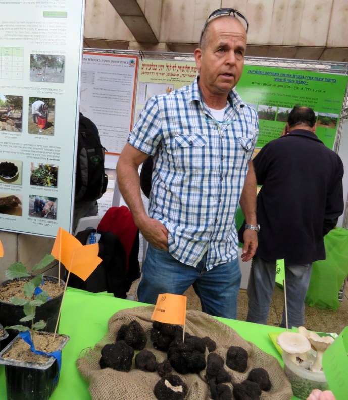 Ofer_Danay_Griby_IMG_2832