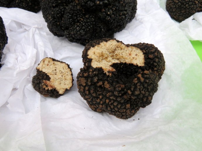 Tuber aestivum IMG_2621