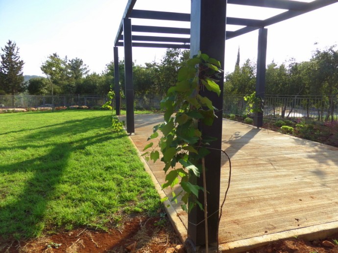 SAMSUNG CAMERA PICTURES