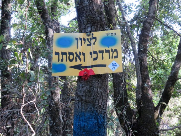 Mordehay_Ester_IMG_5103