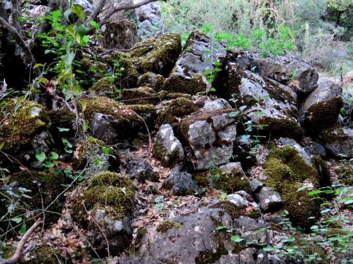 Mordehay_Ester_IMG_5123