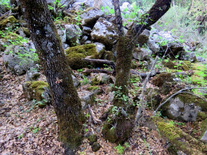 Mordehay_Ester_IMG_5124