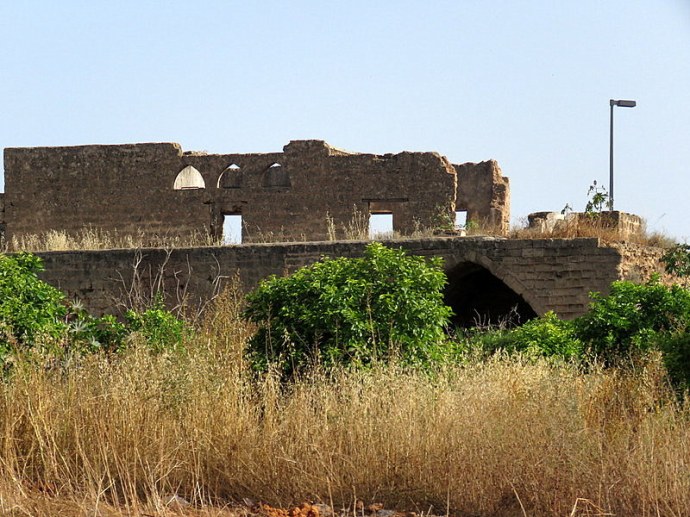 Netania_Ham_IMG_4625-001