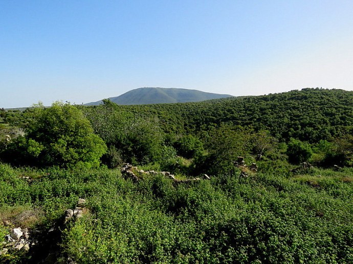 Zerkov_Marmon_Vid_IMG_5077-001