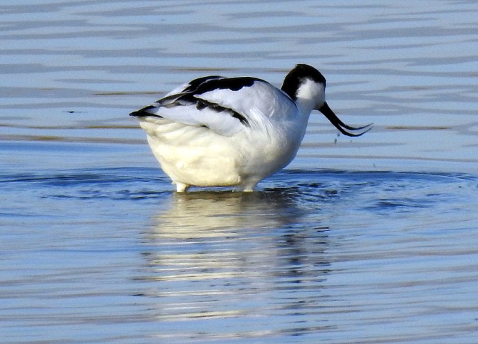 1-Shilokliuv_DSCN8591-001