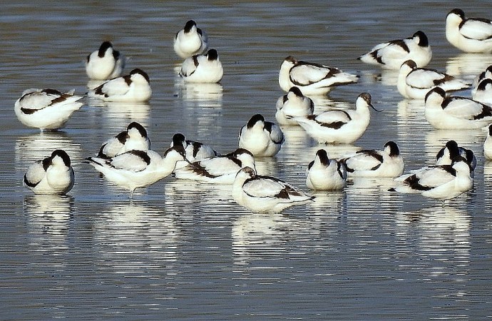 1-Shilokliuv_DSCN8605-001 (2)