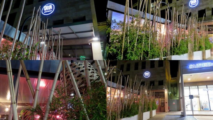 restoran_taya_11-01-001