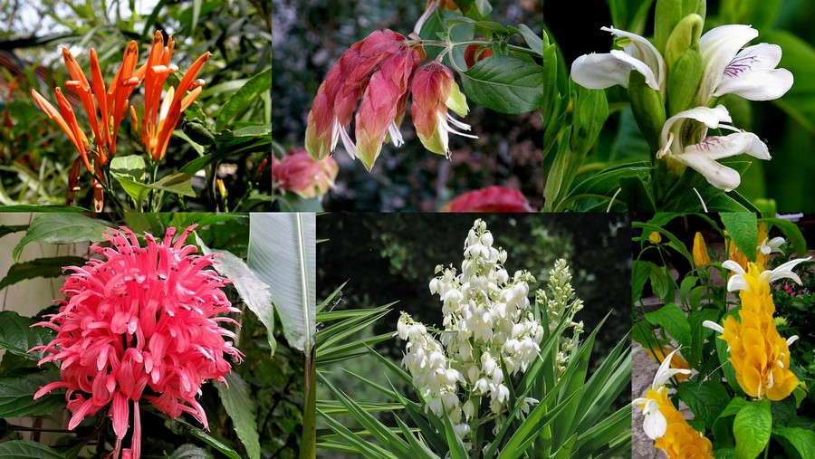 Collage_der_Yu_17.09