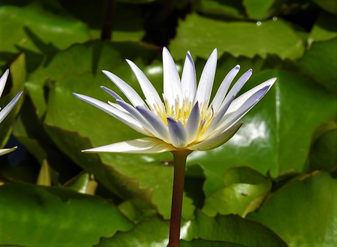 1-Kuvshinka_DSCN1115 (2)