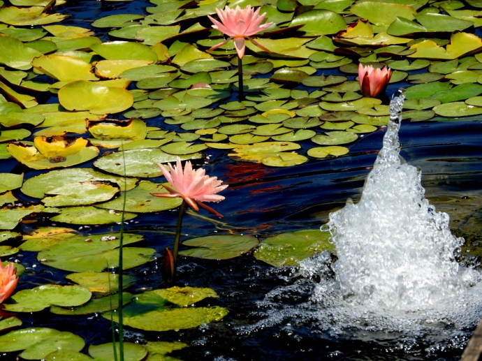 1-Kuvshinka_DSCN1158