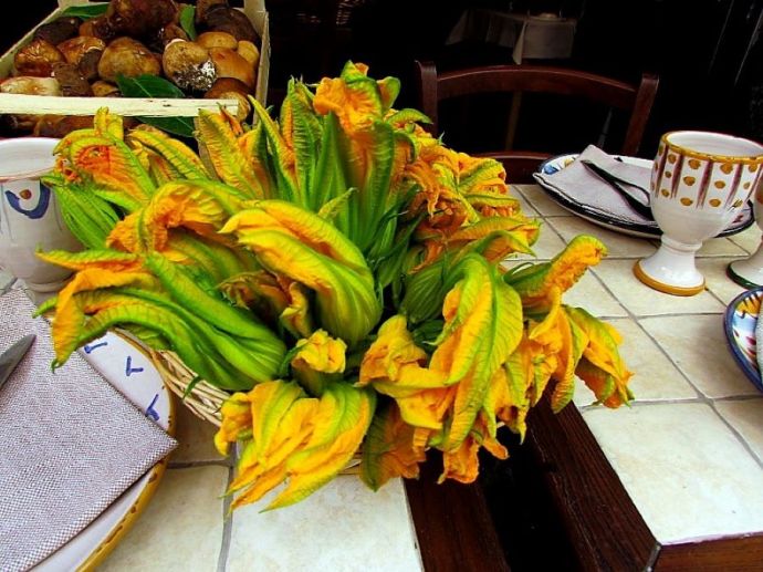 Tykva_zv_IMG_5142 (3)