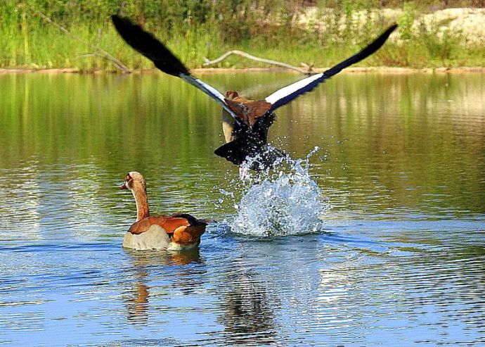 1-Gus_Nil_DSCN2457-003-1